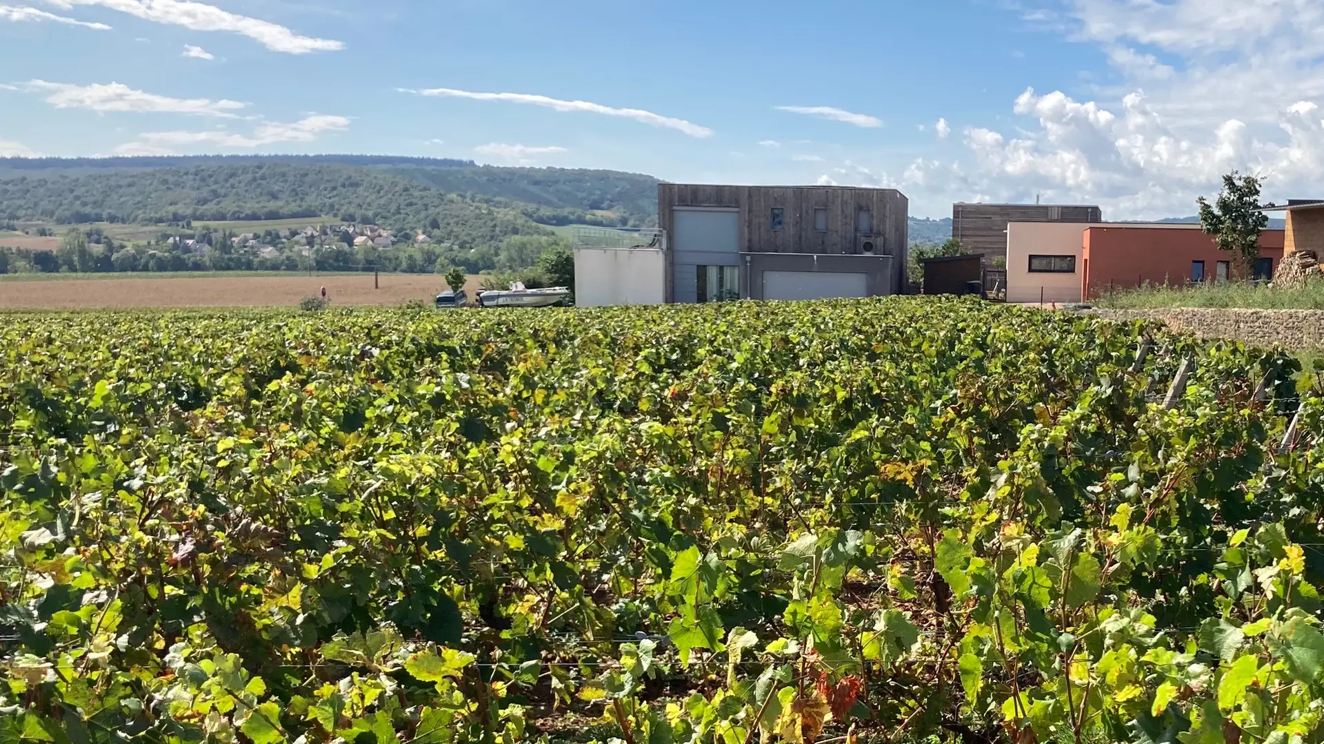 Mercurey - Atelier du champ ladoit - Meublé - Hébergement - 2023 (9)