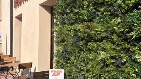 Mur végétal restaurant