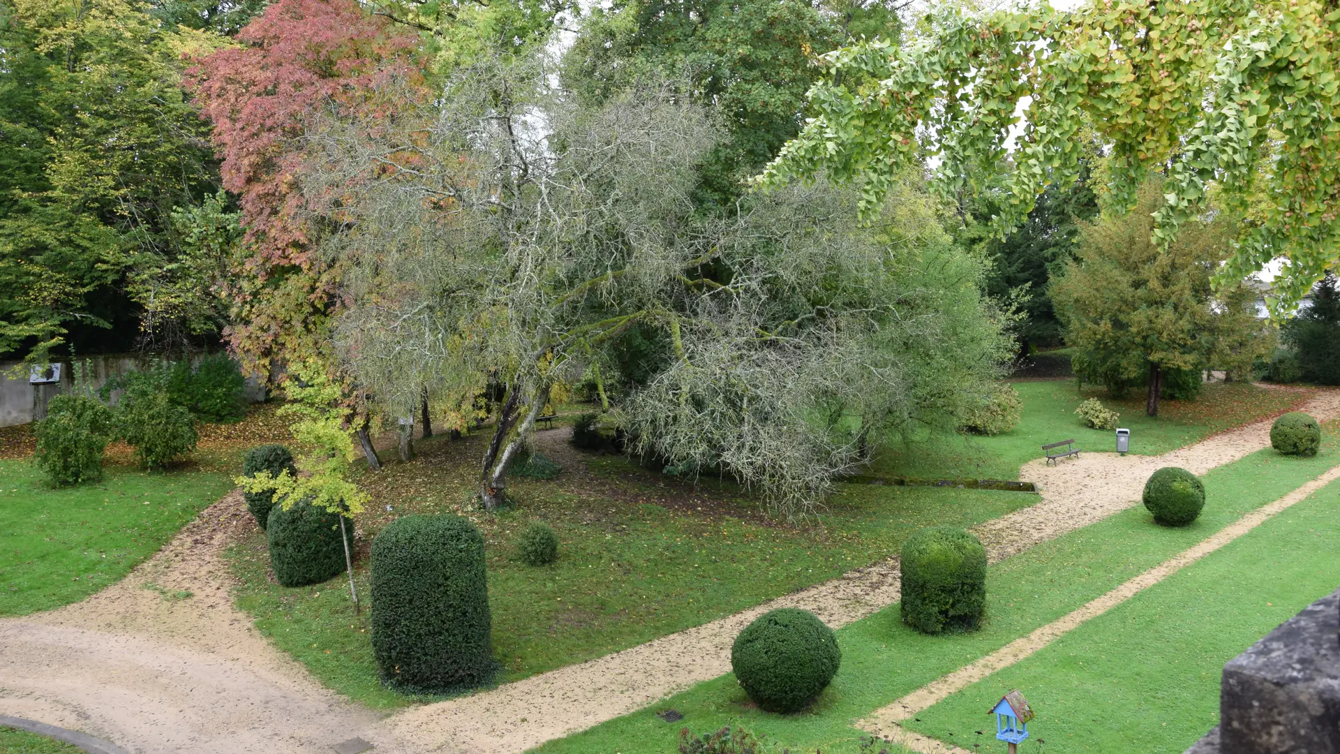 Muséum Auxerre son parc