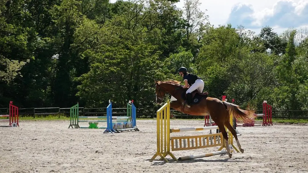 Saut d'obstacles