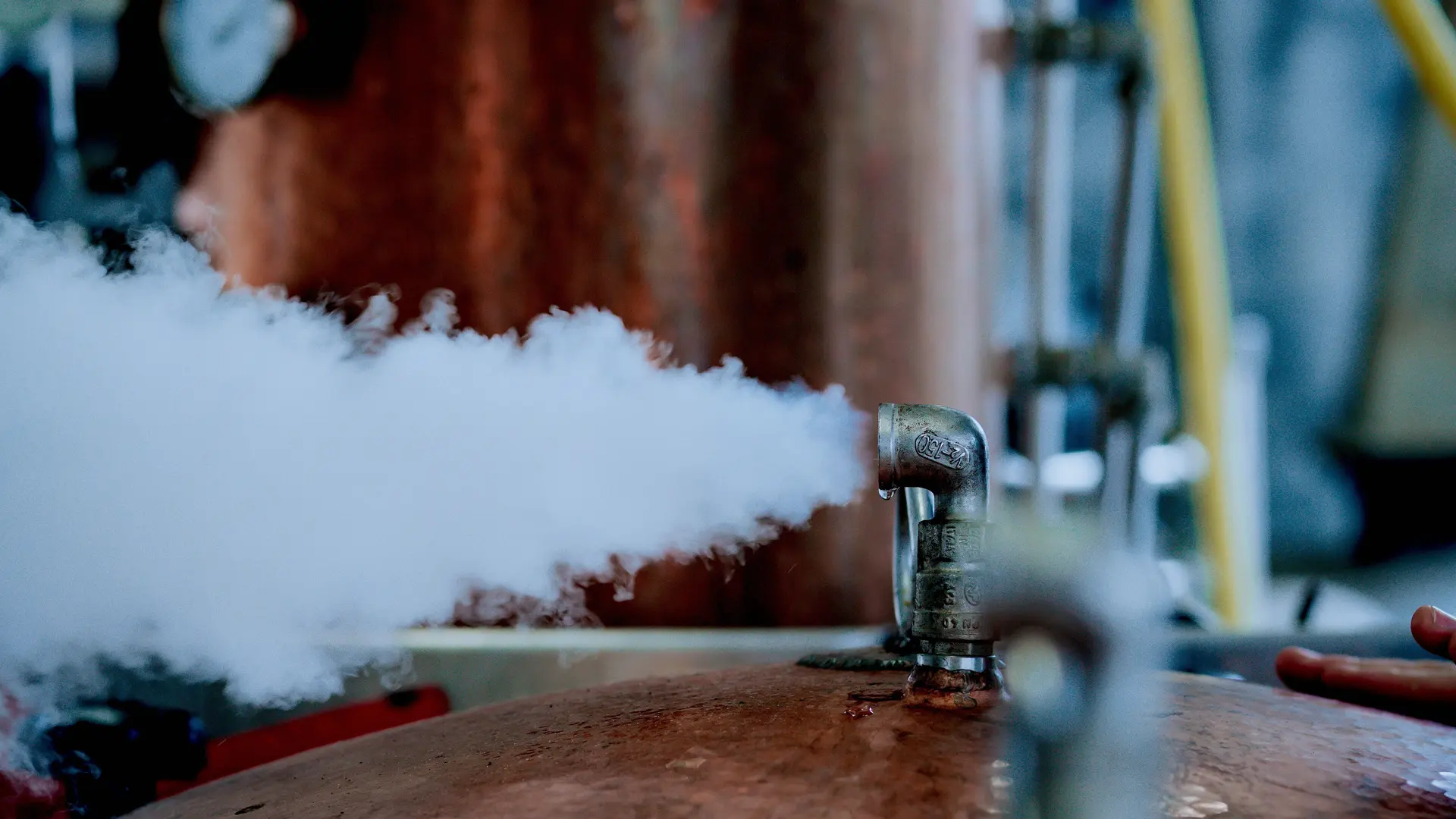 Un des seuls alambic à vapeur à produire des spiritueux