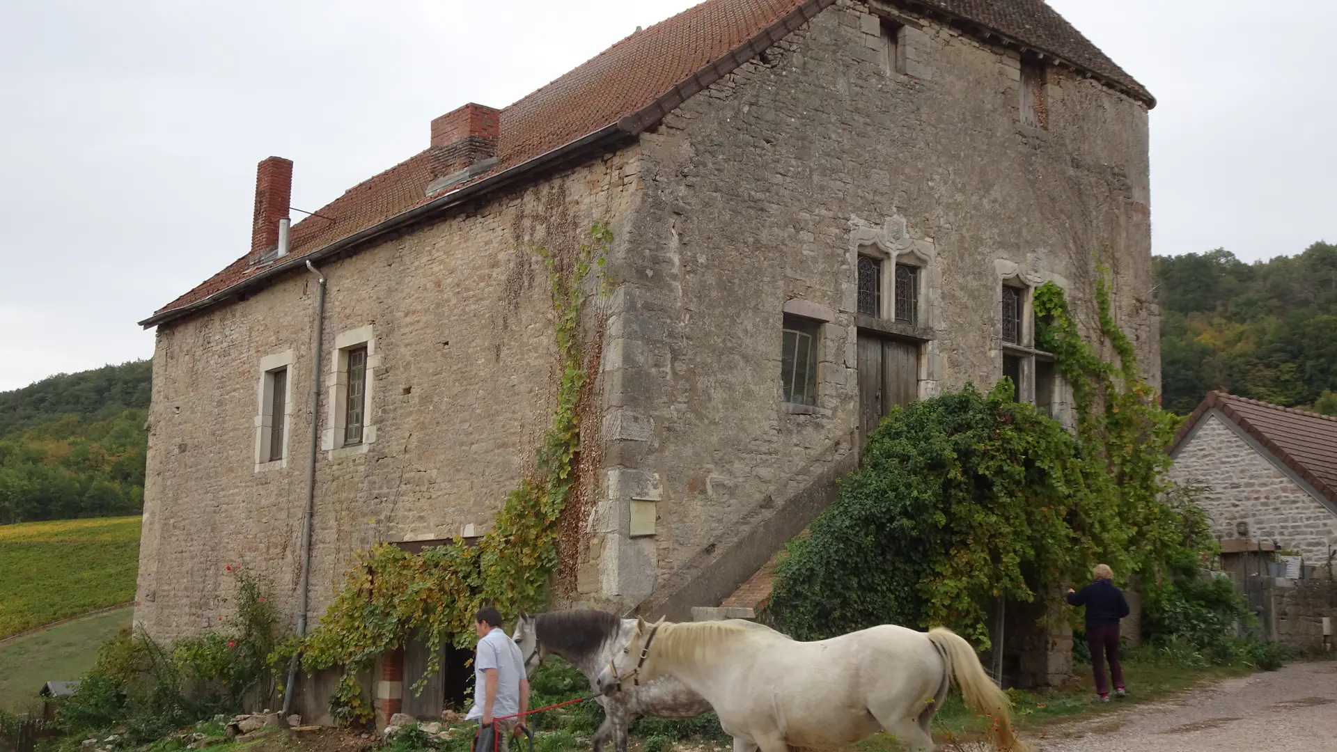 Saint-Denis-de-Vaux---Ancien-Eveche---2018--3-