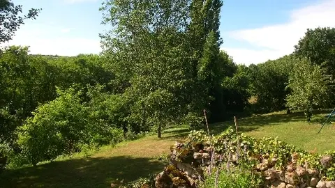 Saint Sernin du Plain - Gîte des Vignes d'Argent - 2017 (9)