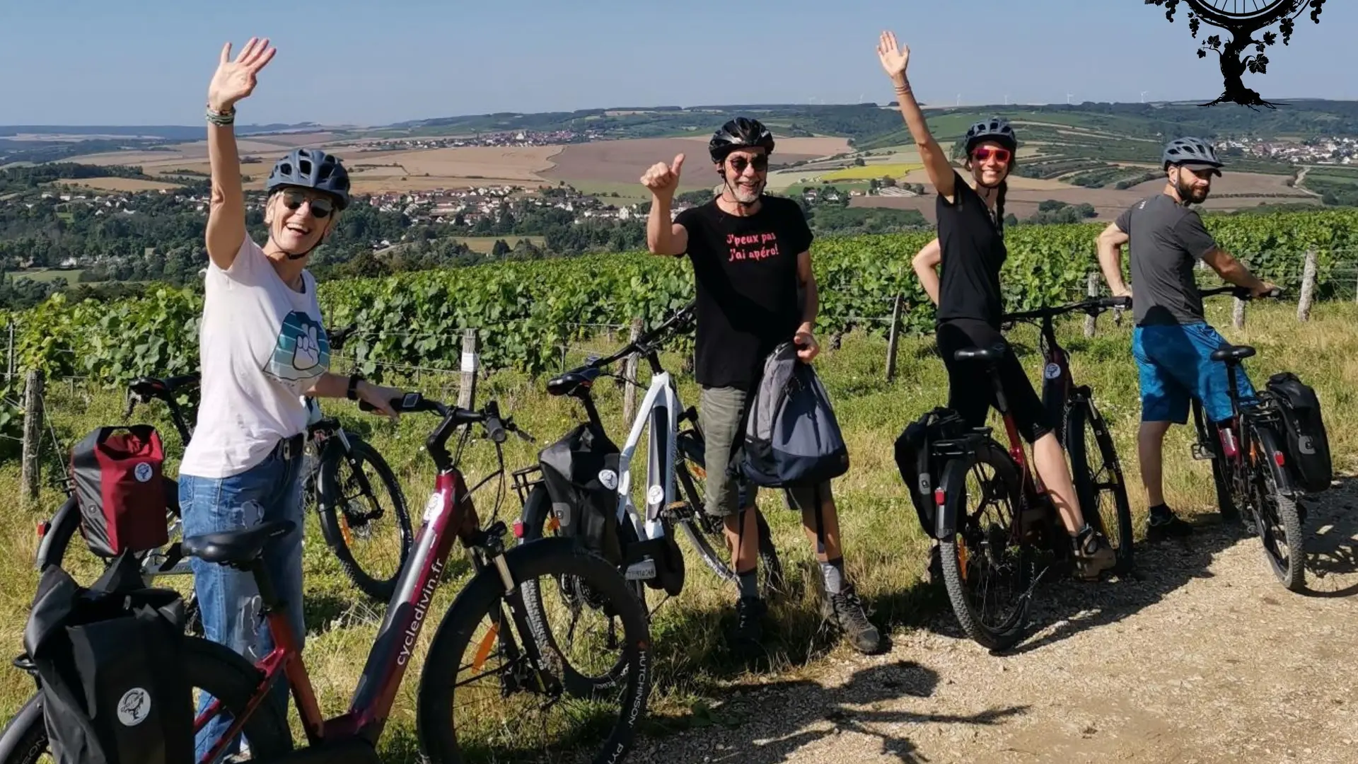 Dans les vignobles des Côtes d'Auxerre - Cycle Divin