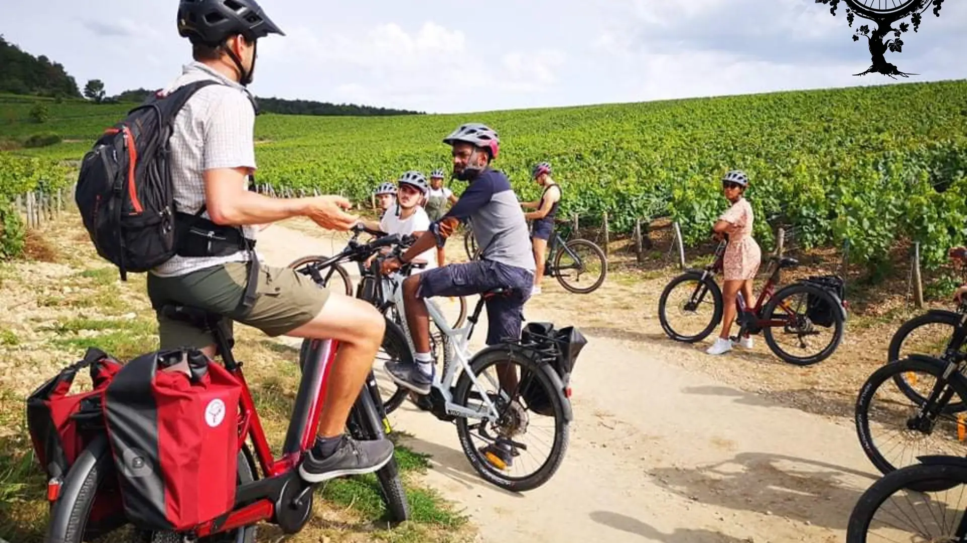 Explication dans les Chablis grand cru 