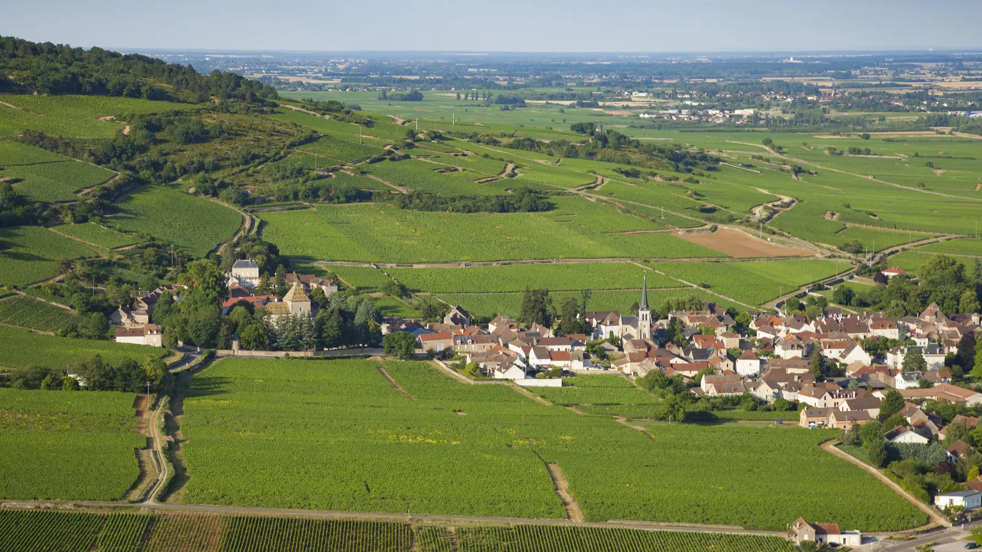 Santenay credit bivb aurelien ibanez