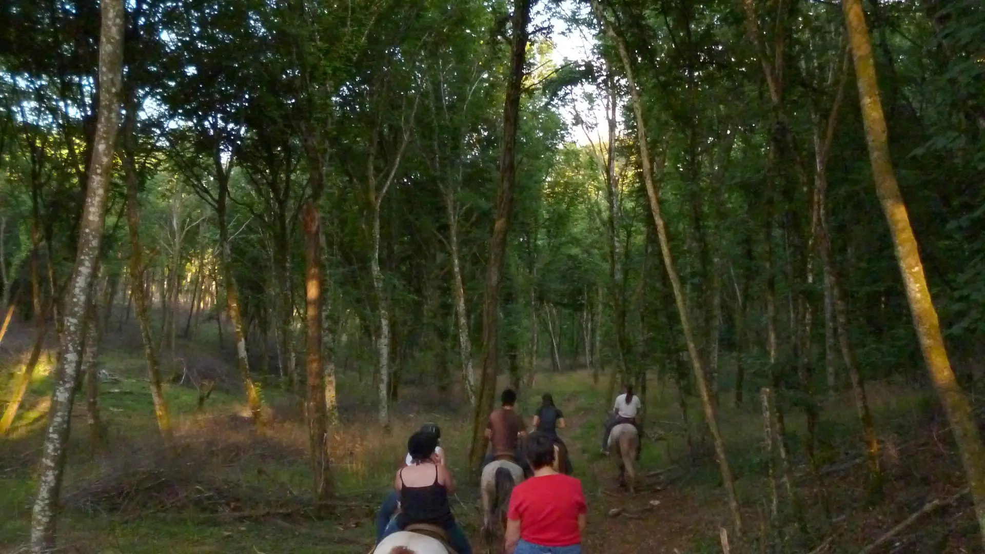 Balade à cheval Mountain Farm