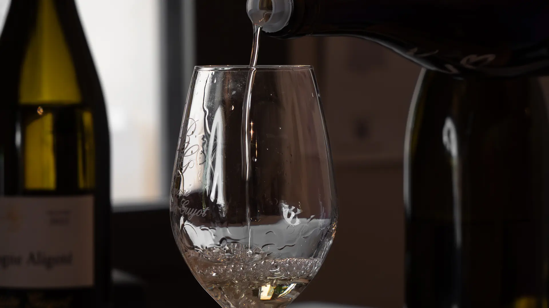 Dégustation vin blanc - Domaine B. Guyot