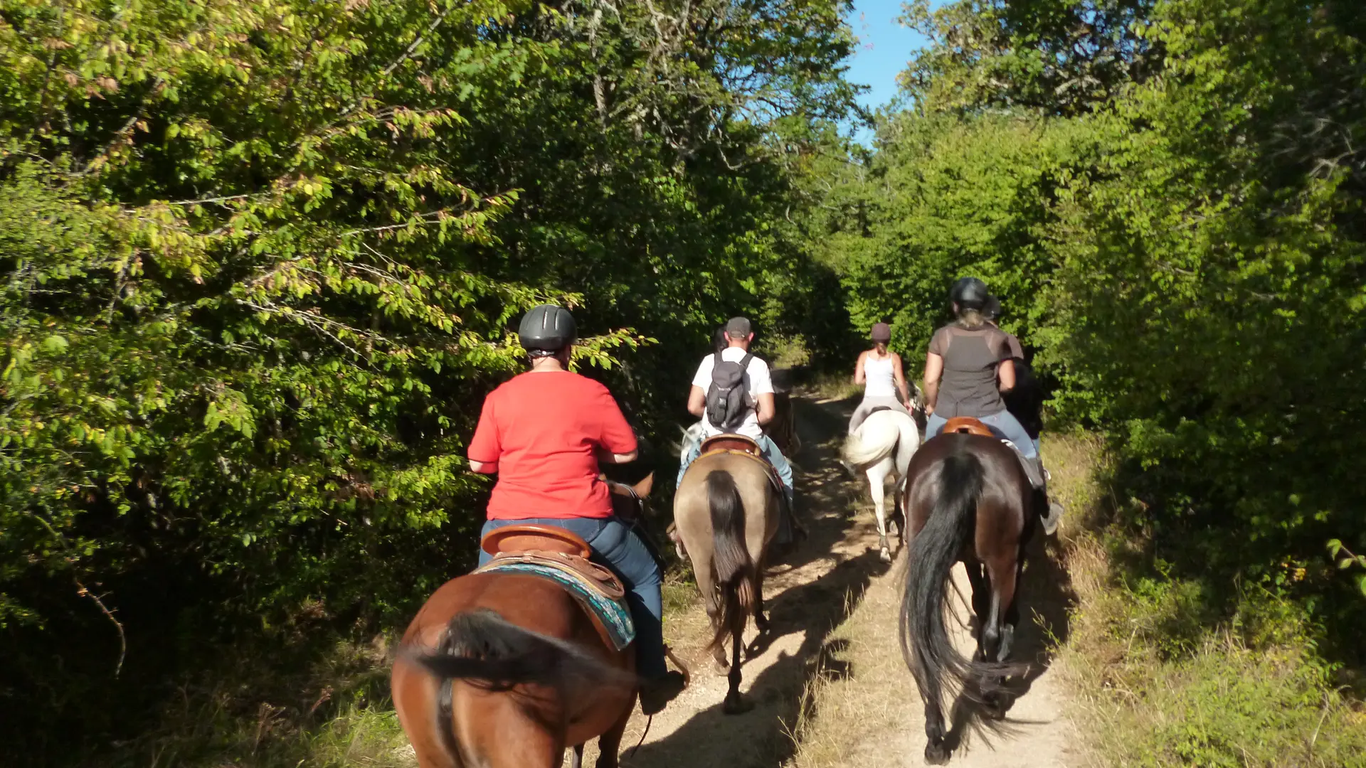 Balade à cheval Mountain Farm