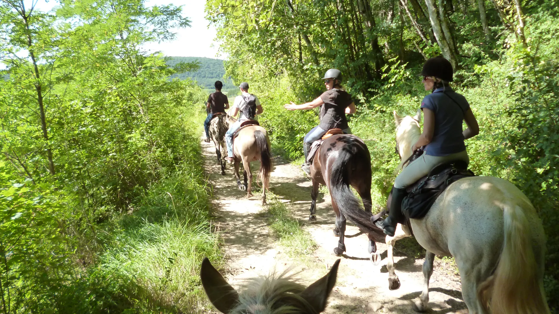Balade à cheval Mountain Farm