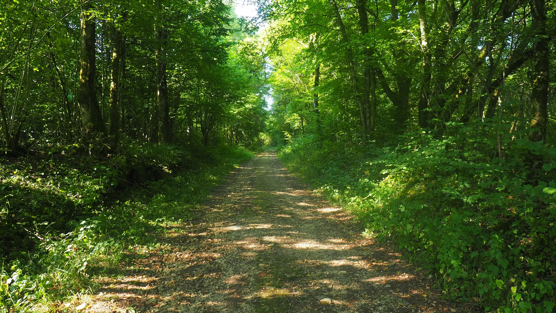 Sentier Champfleurey