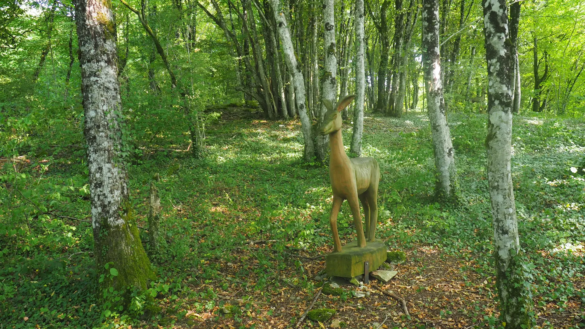 Sentier Champfleurey