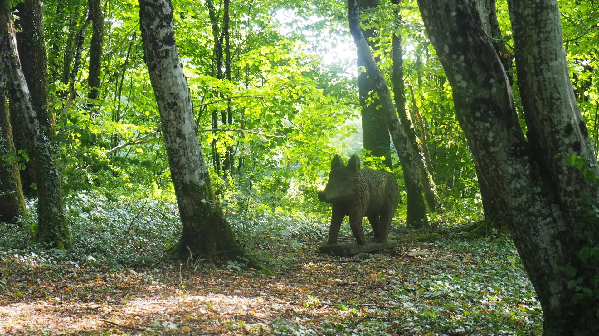 Sentier Champfleurey