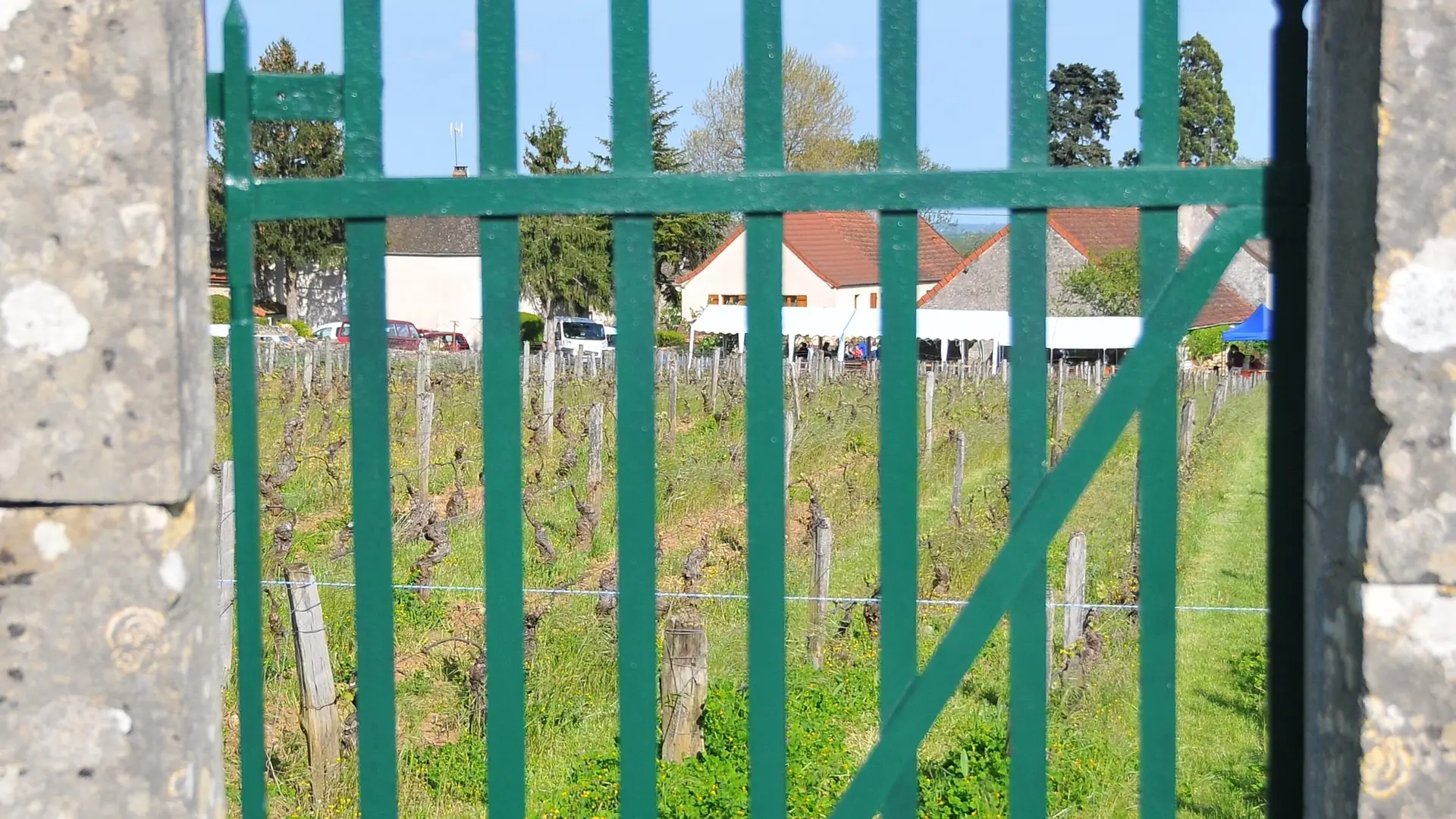PORTE DU CLOS DU VERNOY 1er cru