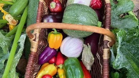 Panier poivrons et courgettes