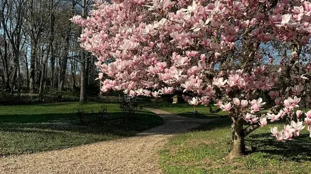 Parc