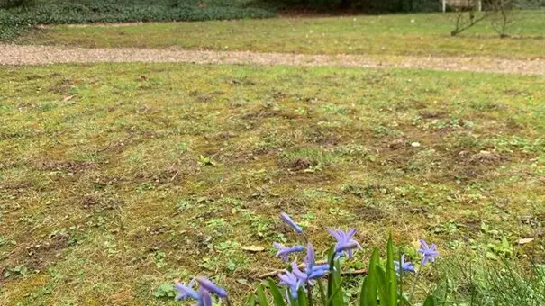 Parc