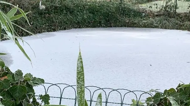 Parc
