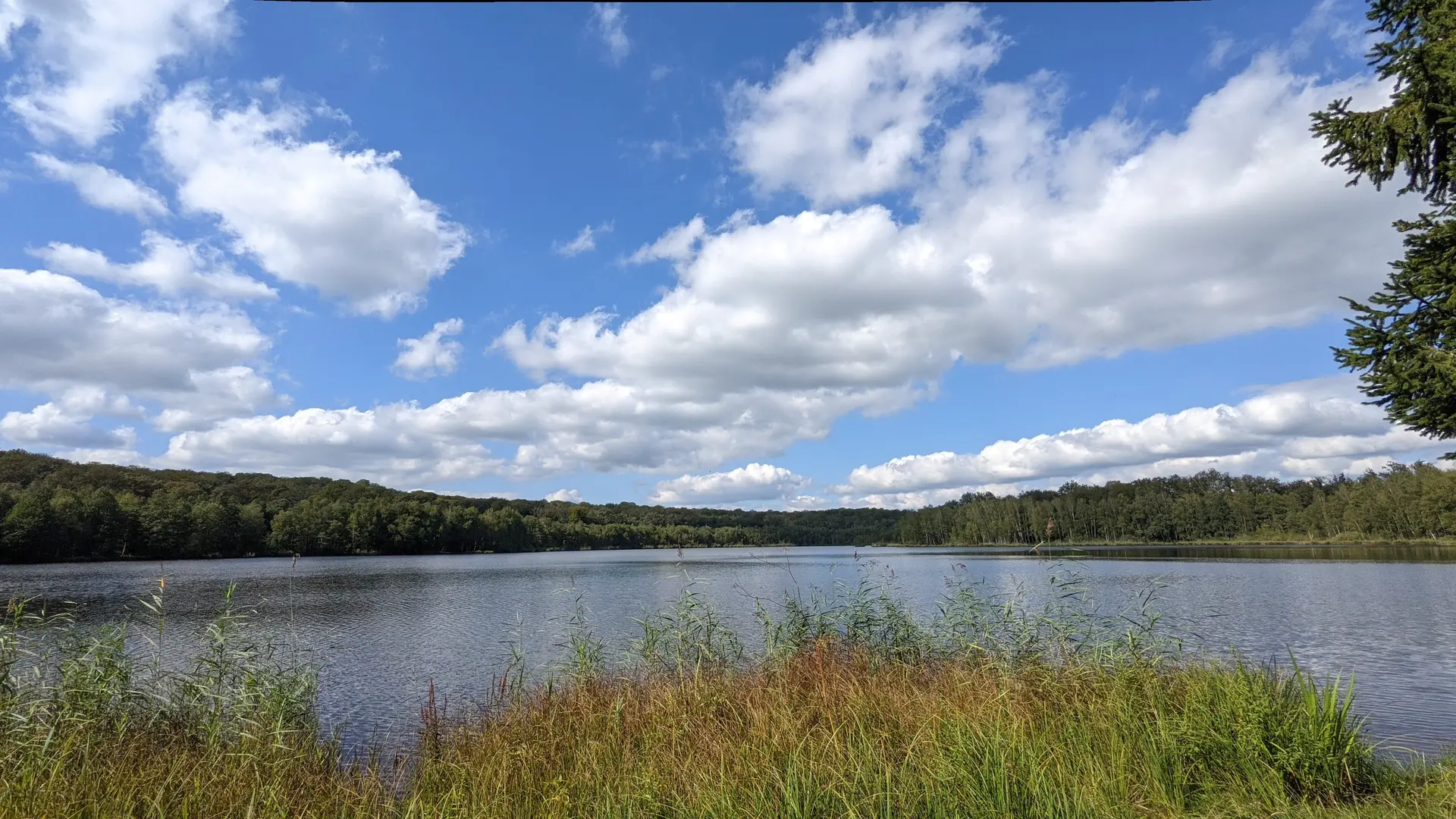 Etang du Grand Saint Maurice