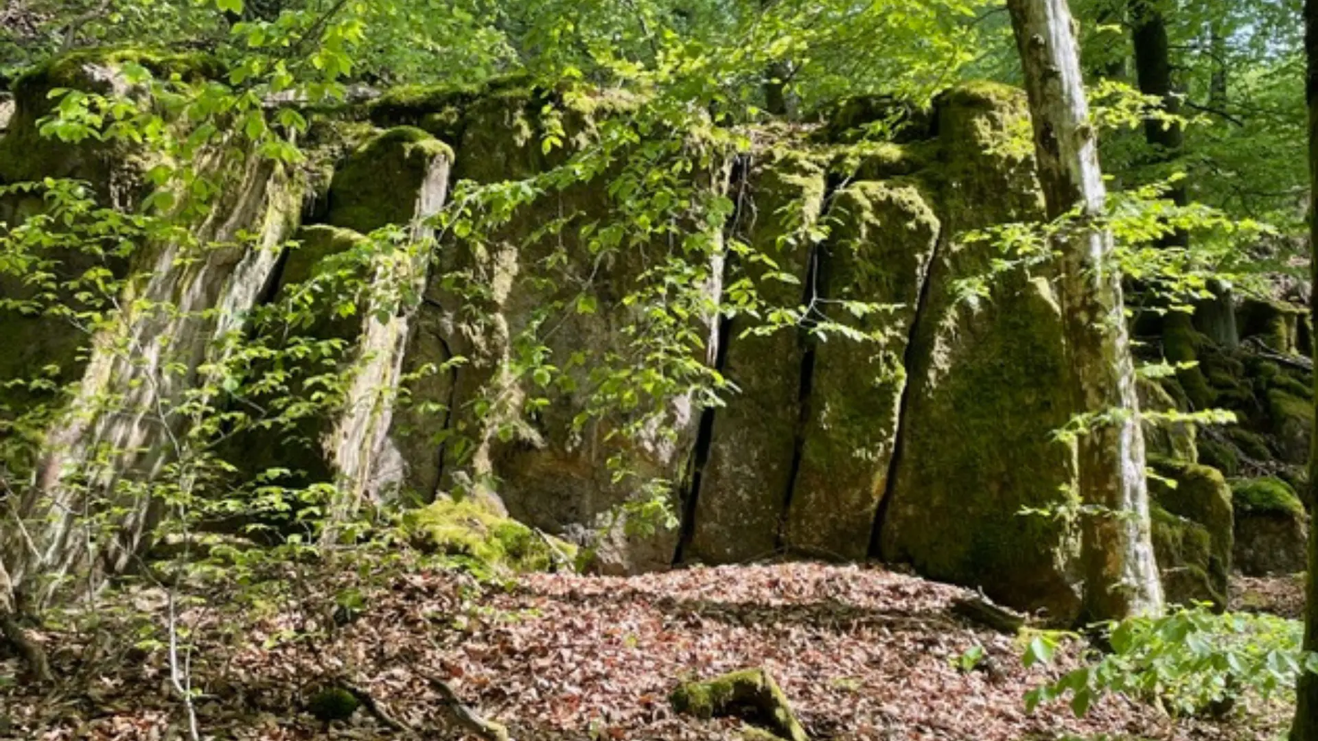 photos la roche - Poudingue