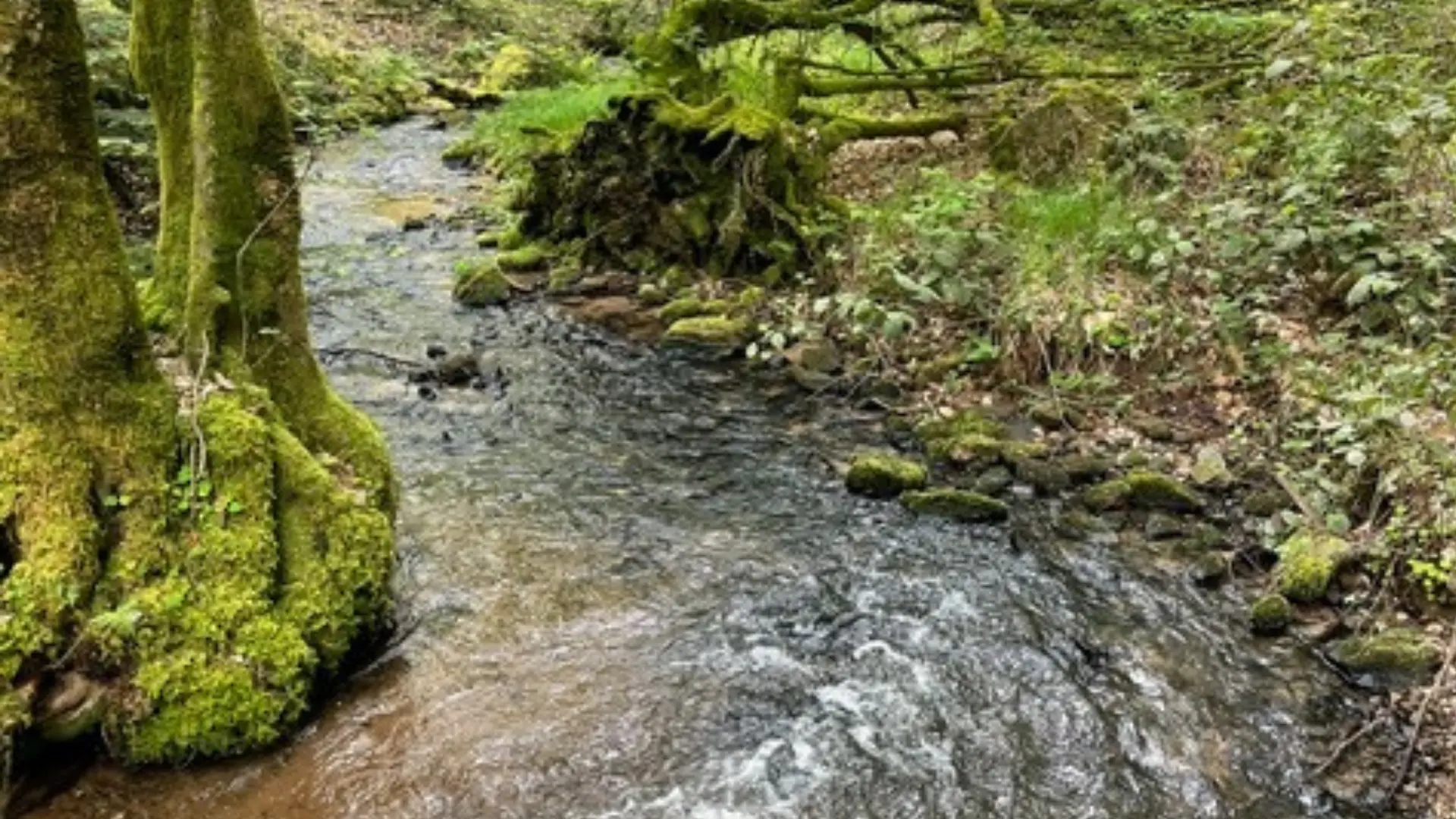 photos la roche - Pont de la Schliffe et ruisseau des Battants