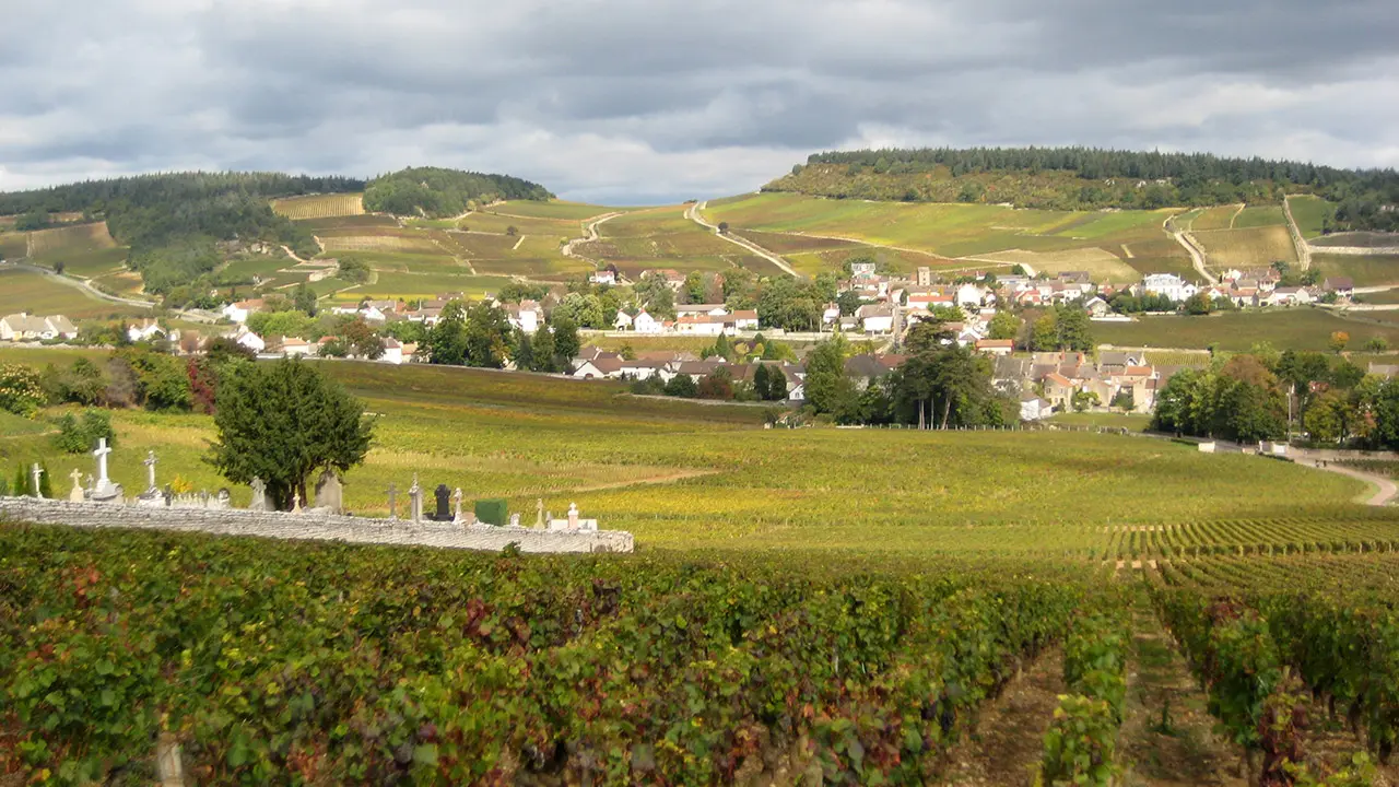 Paysages_vallon_Mercurey