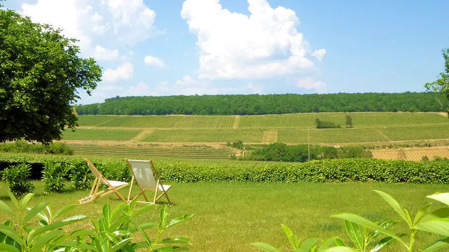 Pano sur les vignes de Bourgogne