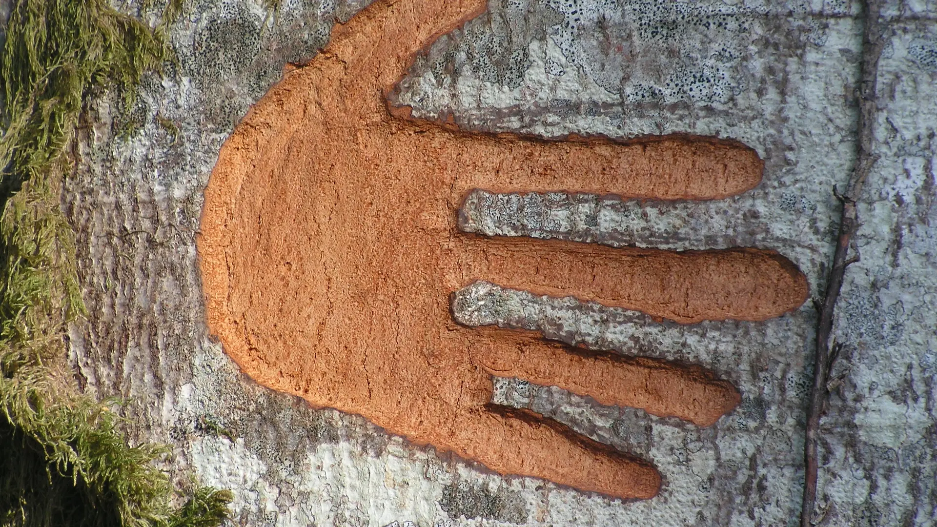 Empreinte Tante Arie