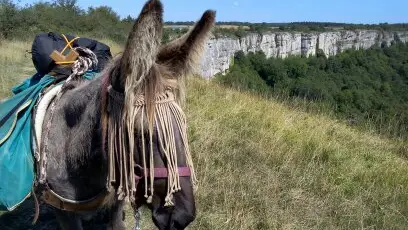 Grande randonnée avec Mirabelle