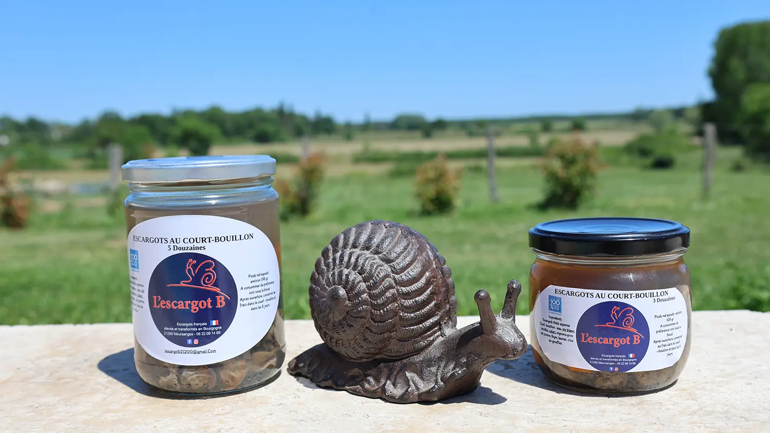 Au court bouillon ou en coquilles