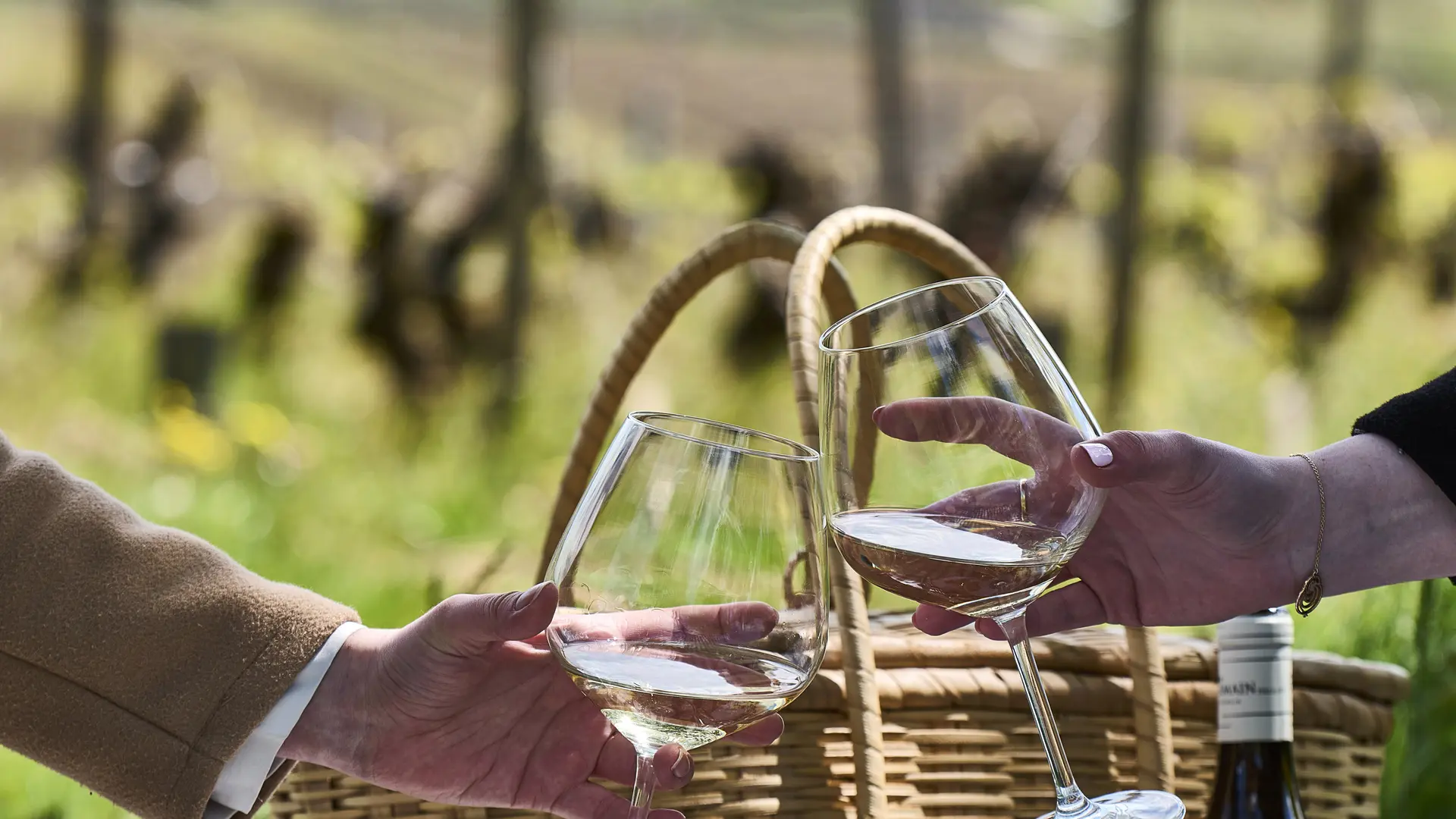 Pique nique vins6