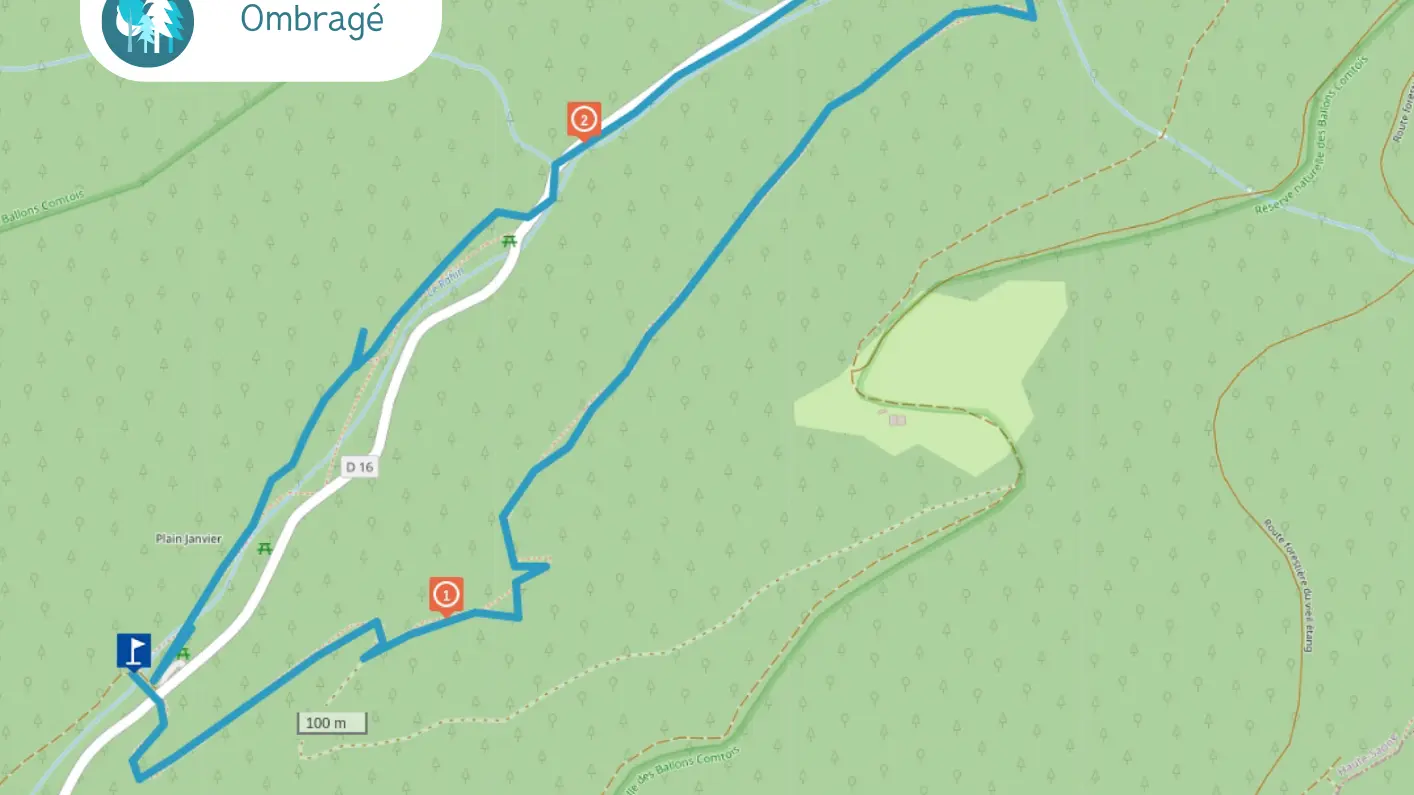 Ronde de la foret de Saint-Antoine (3)