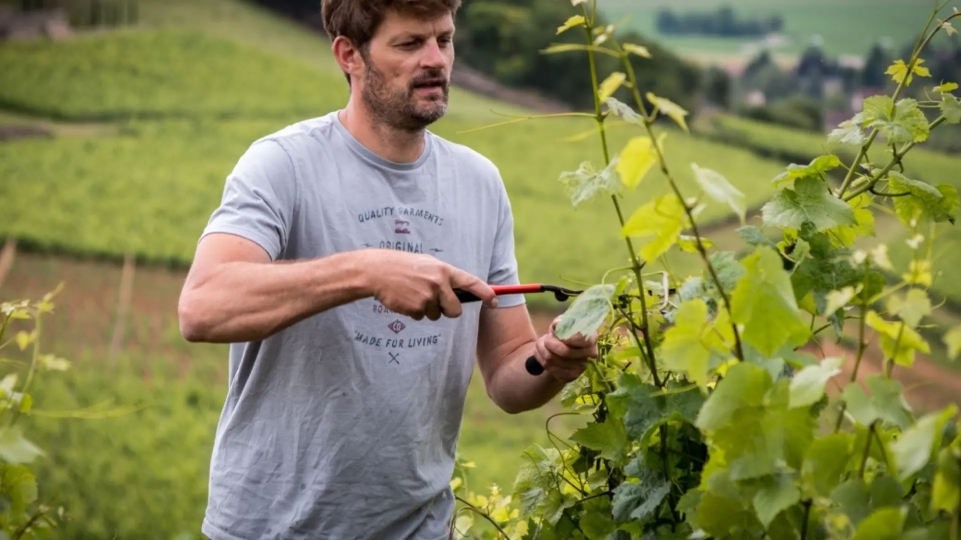 Domaine Ragot