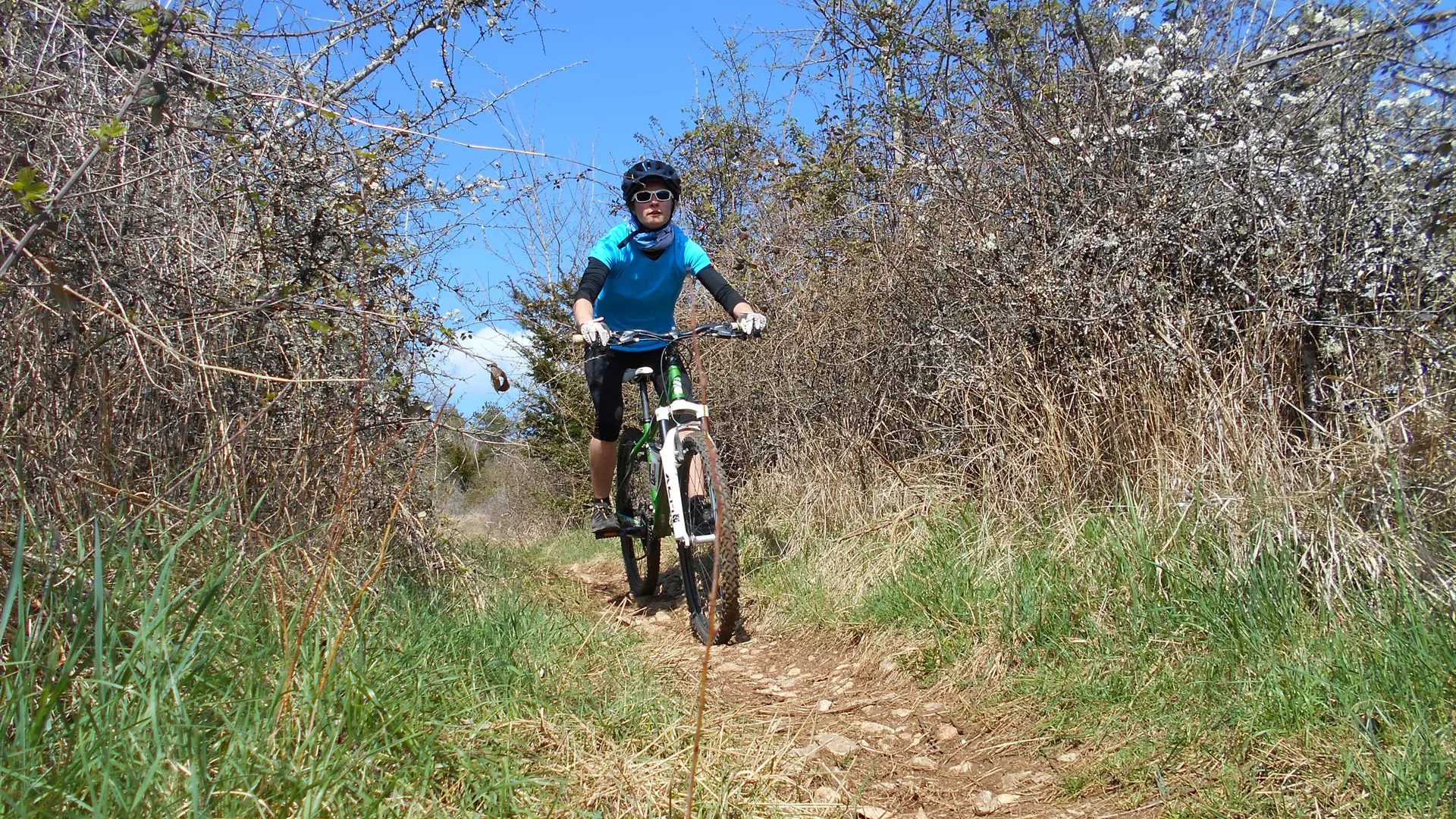 Rando des Vignes Velovitamine