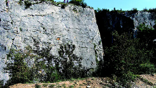 Remigny