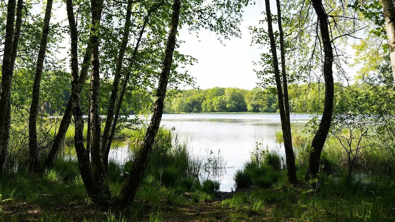 Reserve-Naturelle-Tourbière-21 © BOTHBETTER