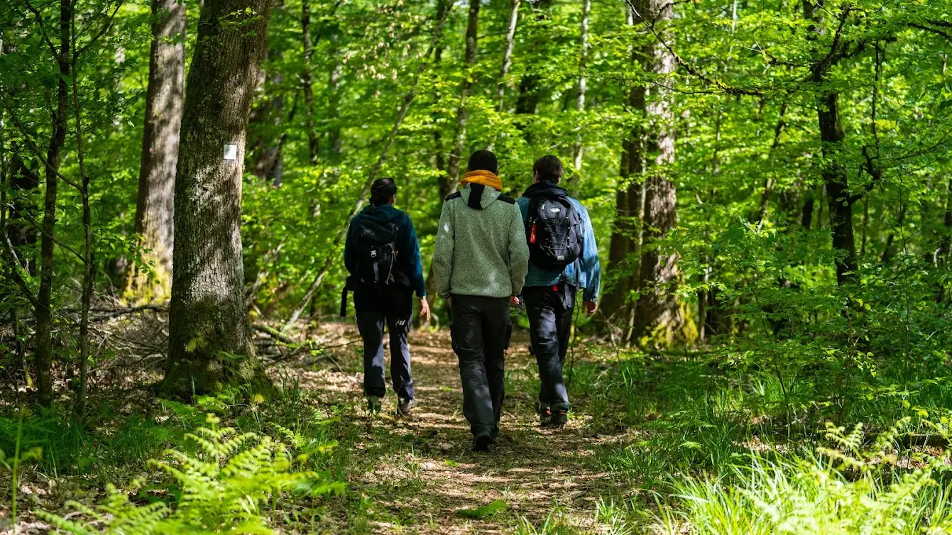 Reserve-Naturelle-Tourbière-33 © BOTHBETTER