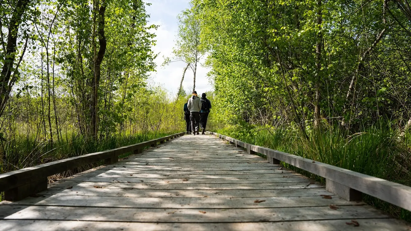 Reserve-Naturelle-Tourbière-63 © BOTHBETTER