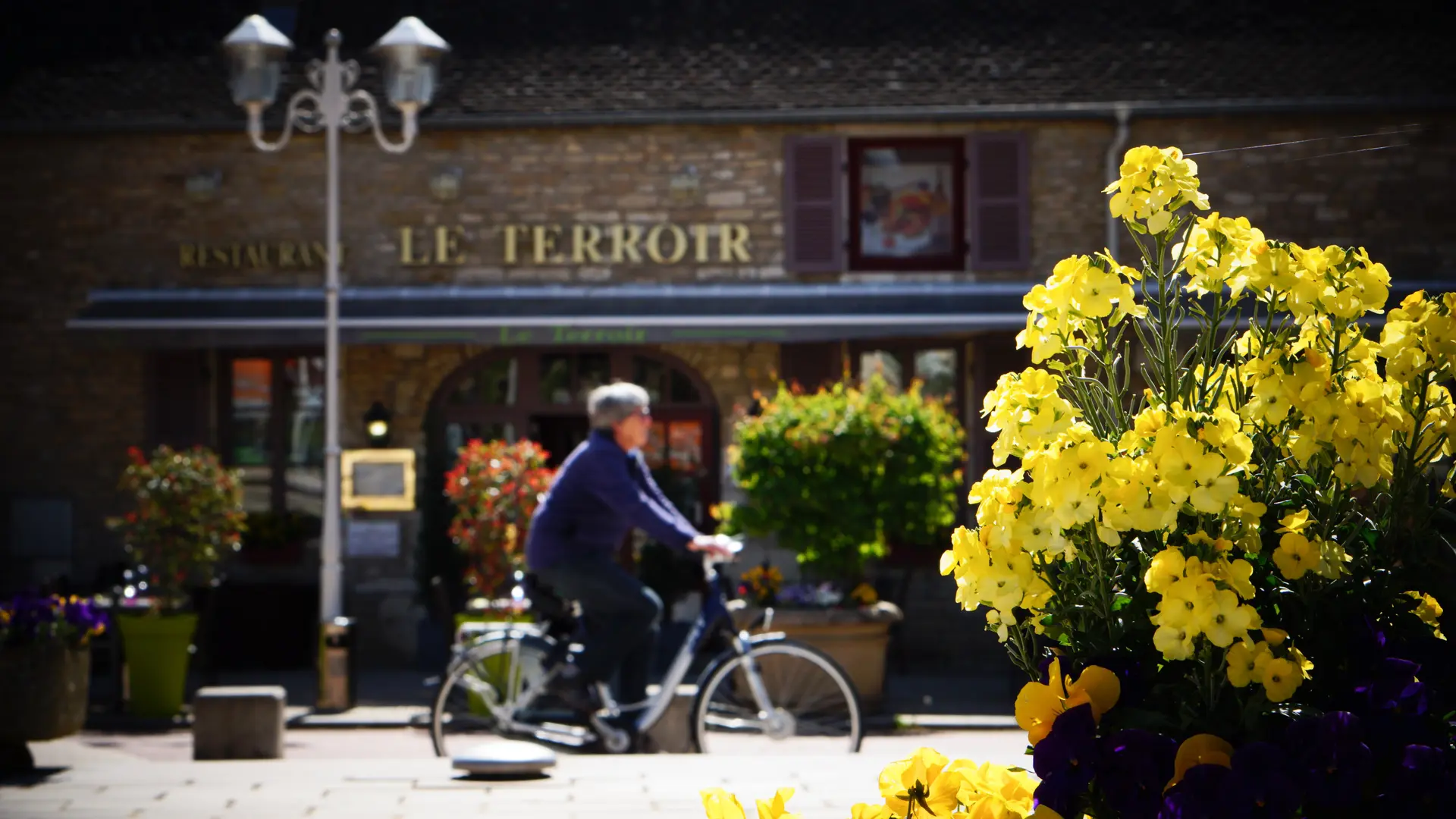 Resto images 2017 017