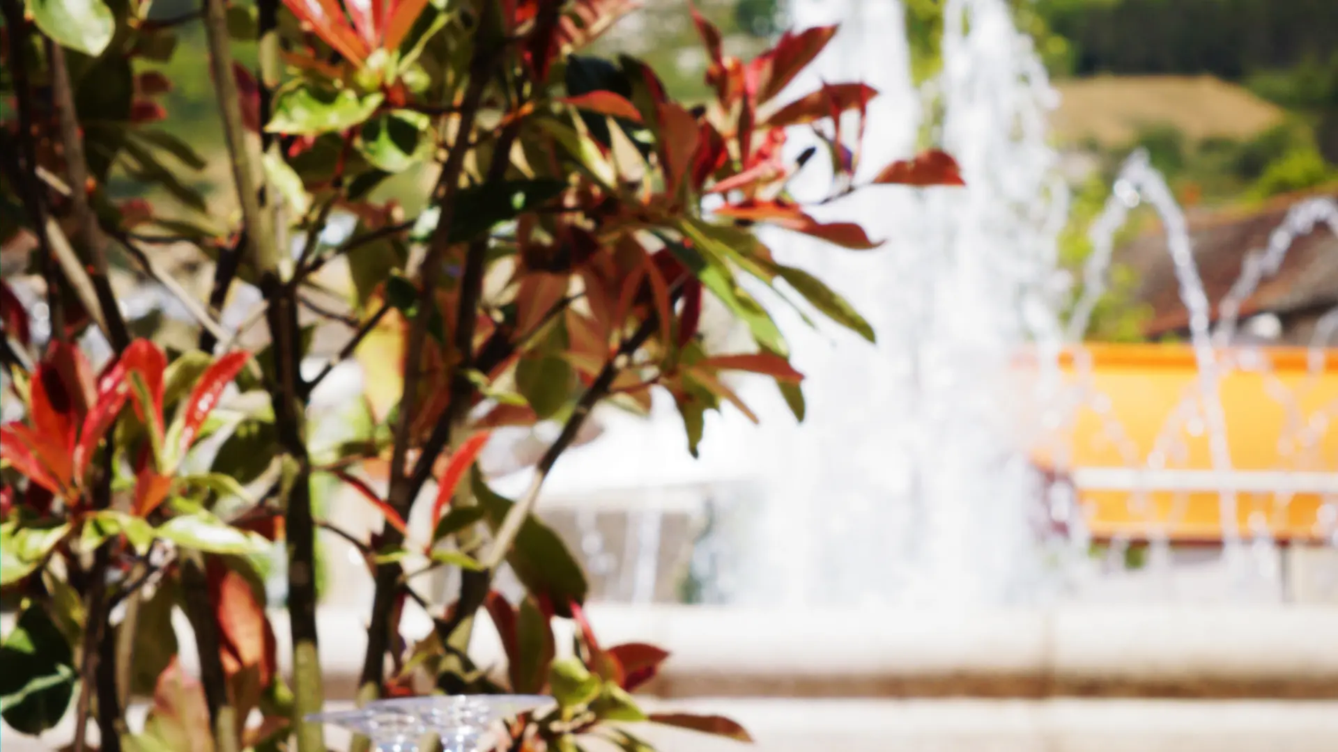 Resto images 2017 054