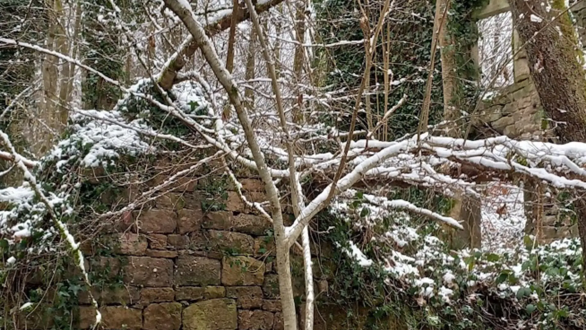 photos la roche - Ruines de Moulin des Battants