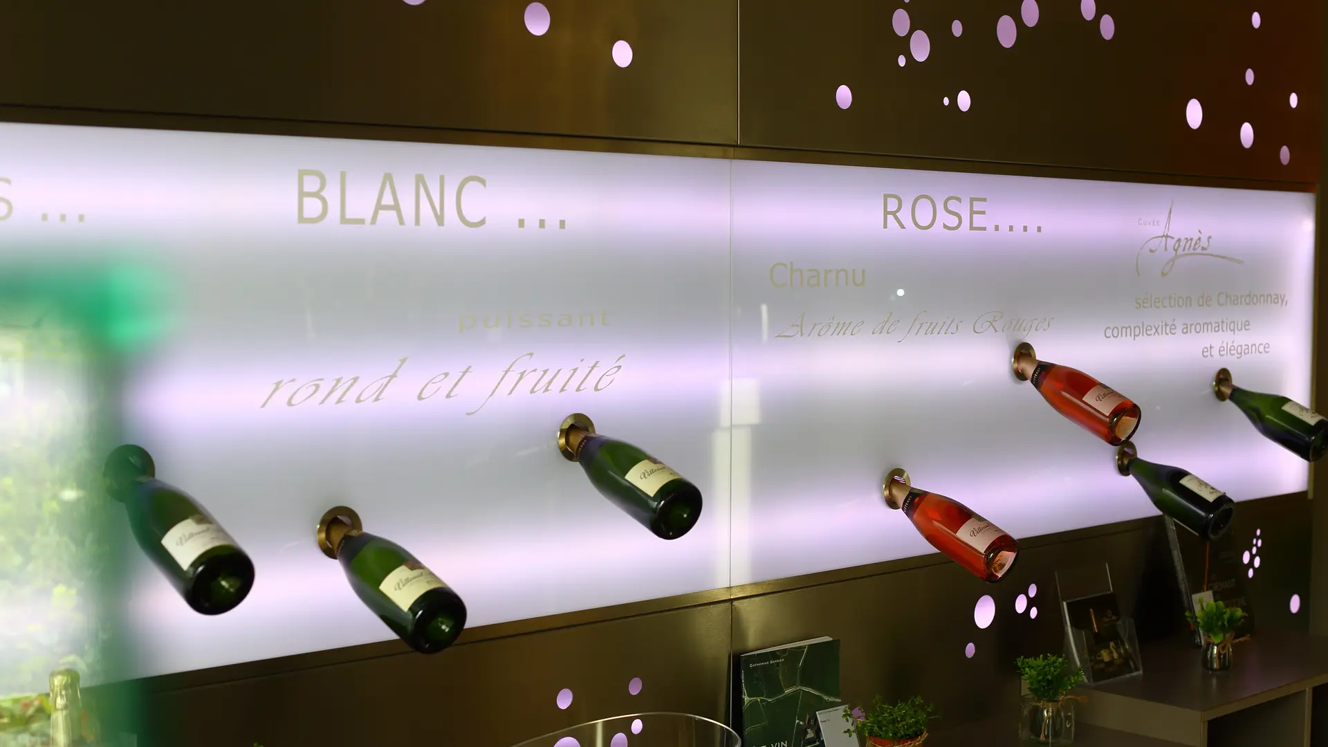 Rully - Vitteaut Alberti - Domaine - Vins - Dégustations - Oenotourisme - 2022 (2)