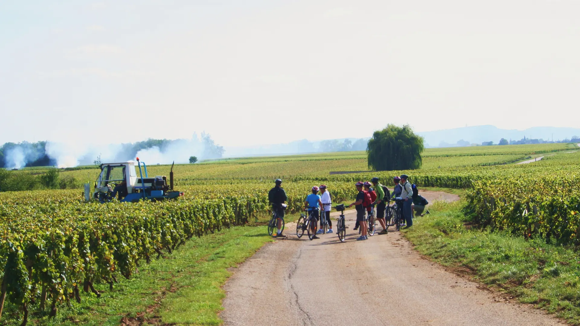 Rully-Bike and Wine-2016 (31)