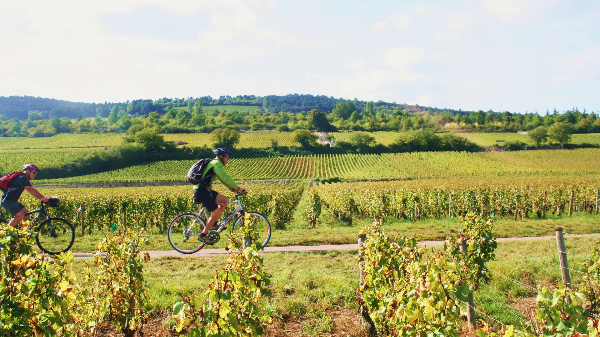 Rully-Bike and Wine-2016 (33)