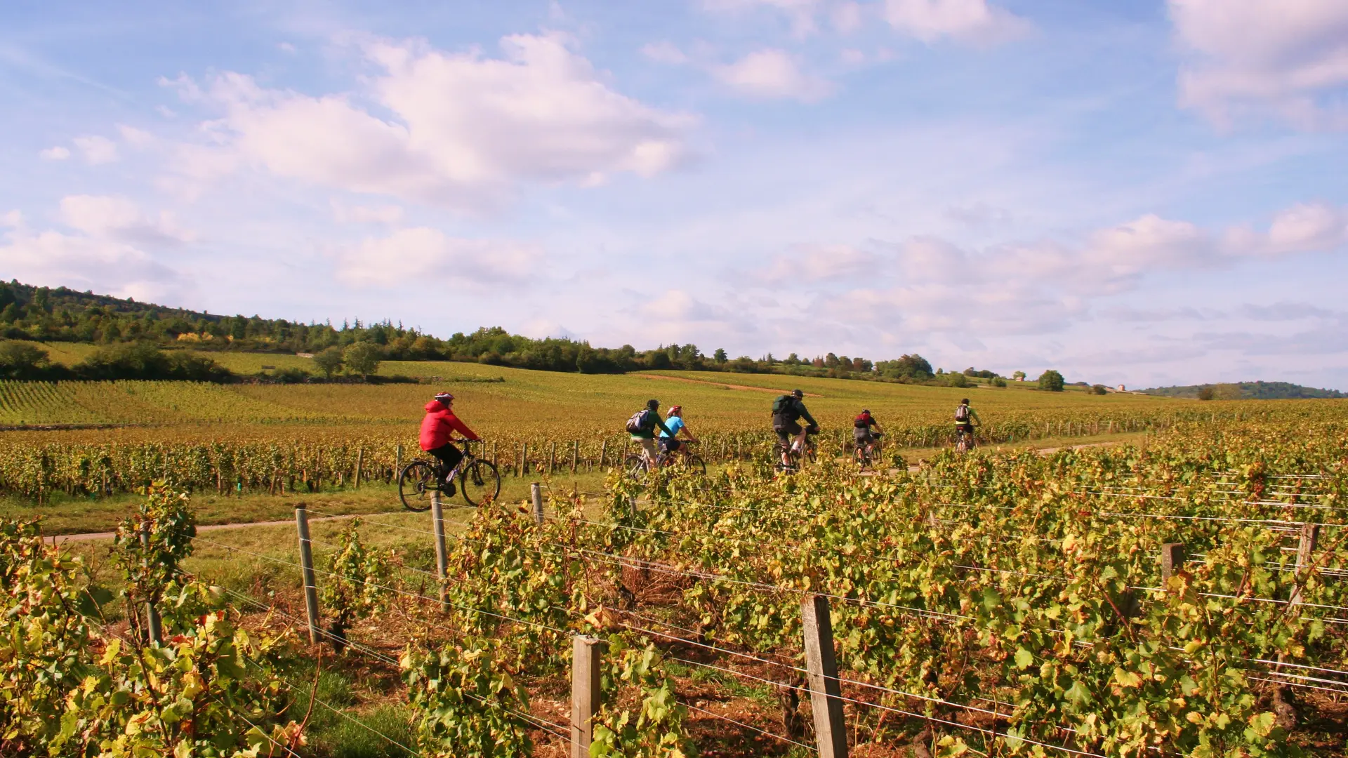Rully-Bike and Wine-2016 (36)