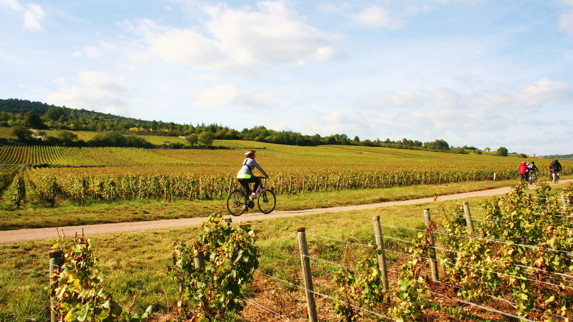 Rully-Bike and Wine-2016 (37)