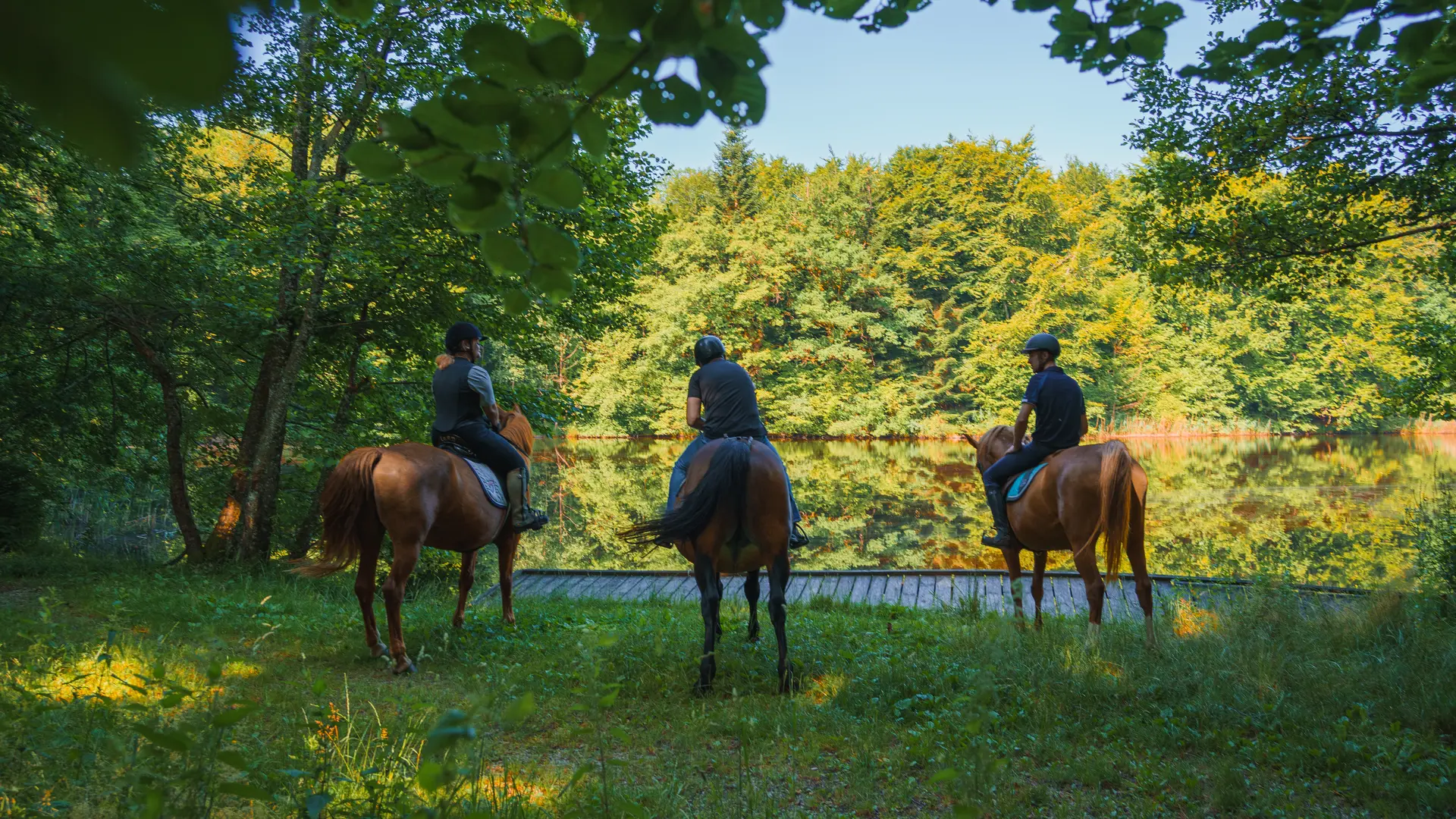 Tourisme Equestre 1000 Etangs - Maxime Nagely (4)