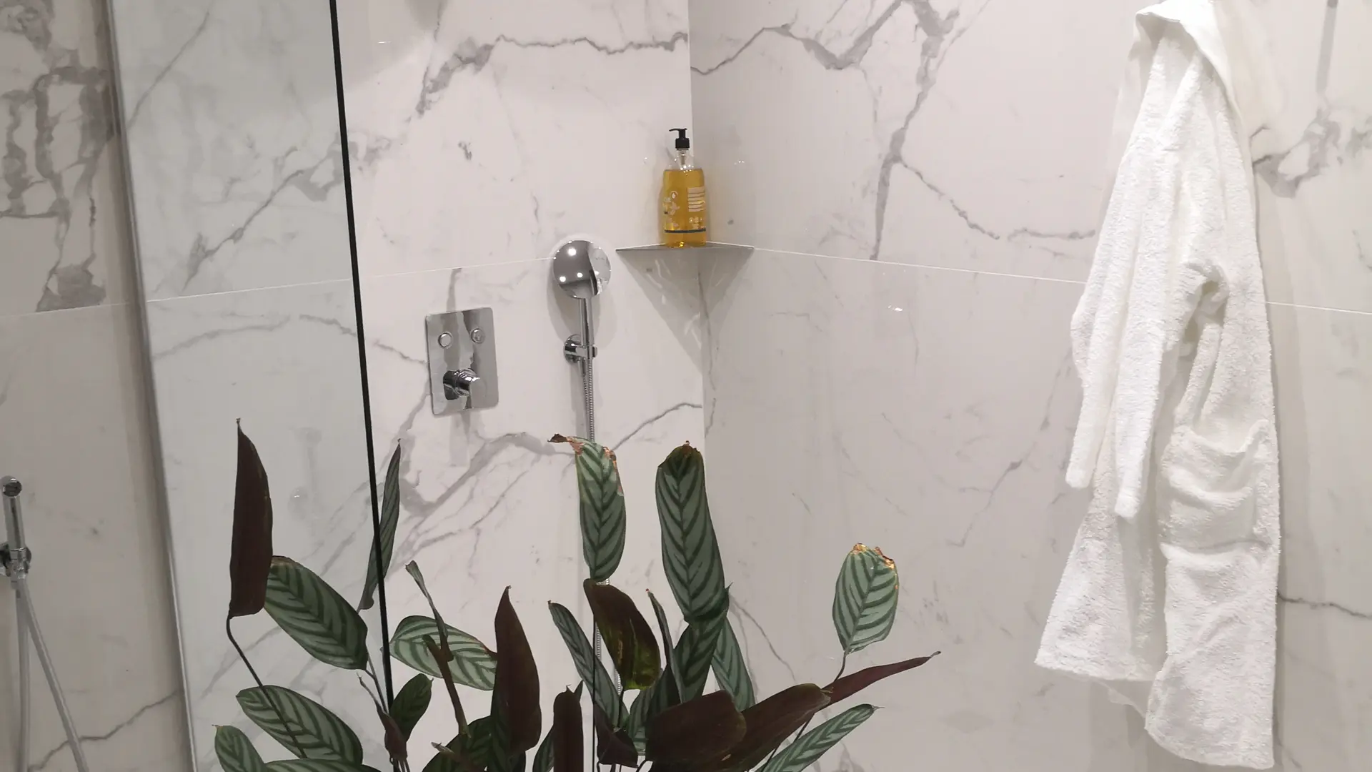 Le Lys dans la vallée