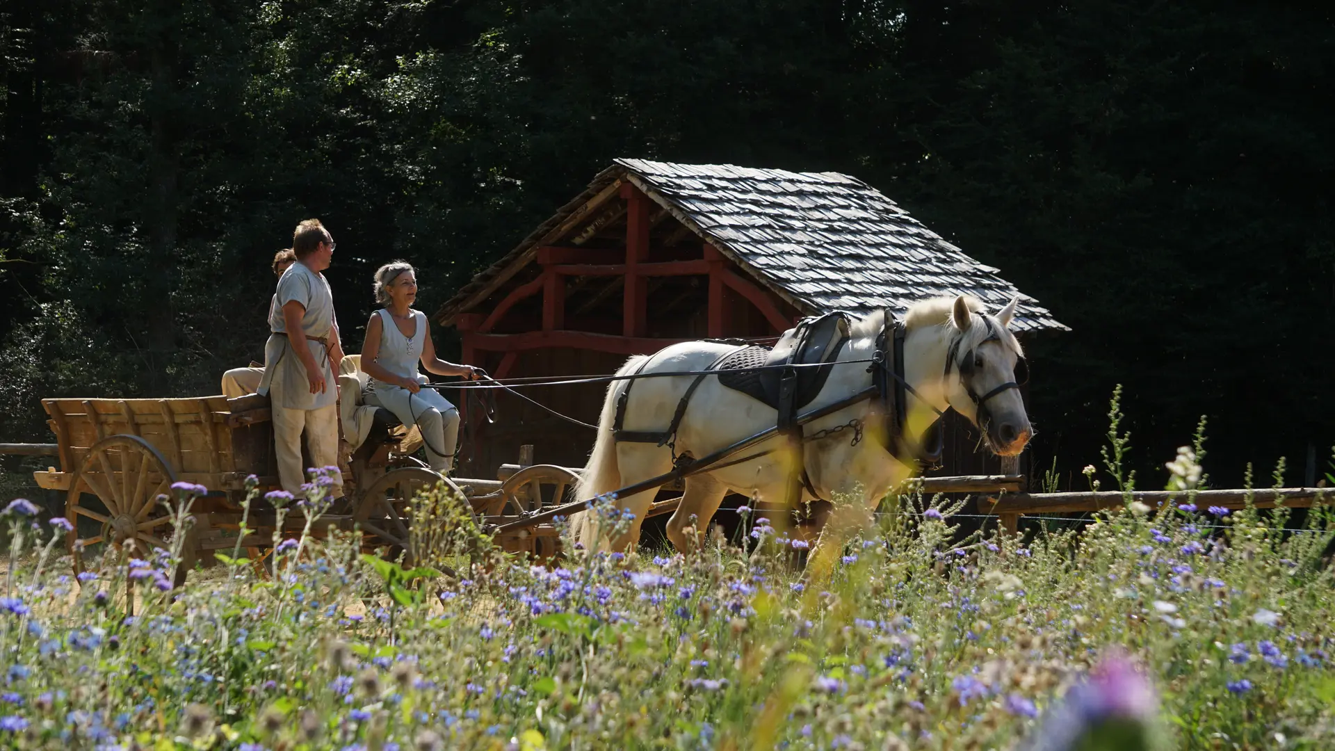 Tyrelienne attelée au tombereau dans la forêt de Guédelon