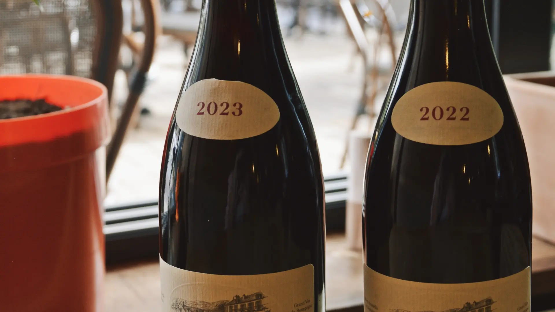 Un aperçu de notre cave à vin, Domaine Taupenot Merme
